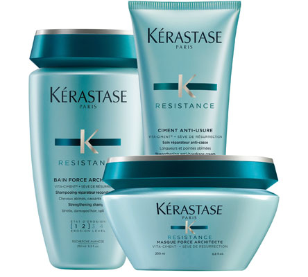 Resistance Range to repair very damaged and over-processed hair.